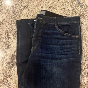 Wit and Wisdom Ab Solution Skinny jean